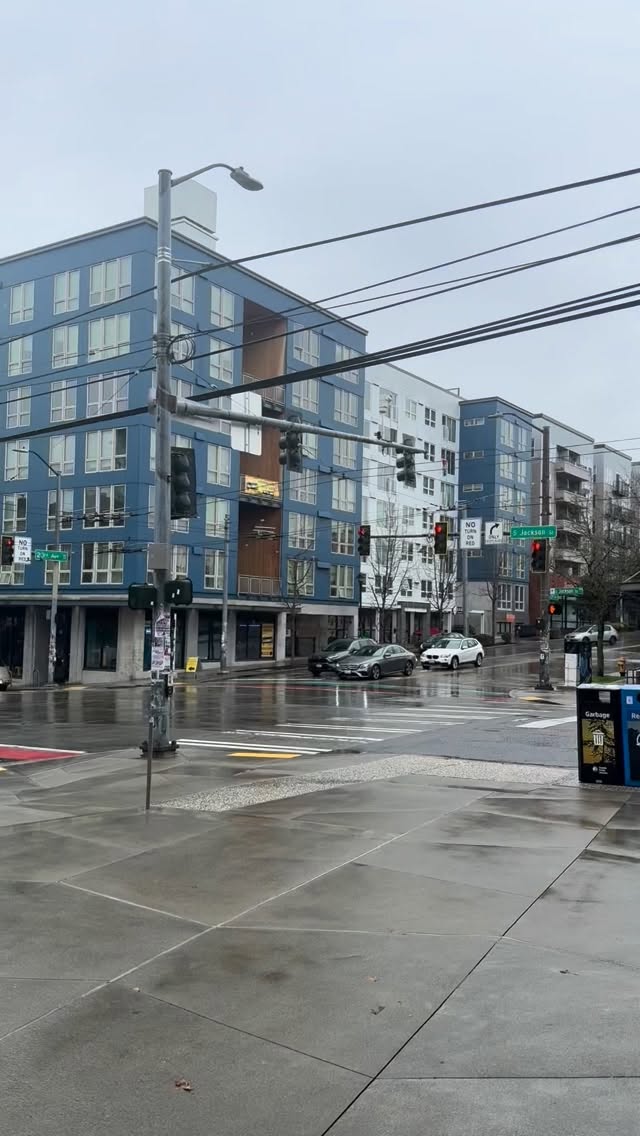 A little gloomy and rainy here in Seattle but it’s cozy and warm inside. Come by to spice up your home with a new plant baby! #booshnursery #indoorjungle #seattle #plantnursery #plantlover