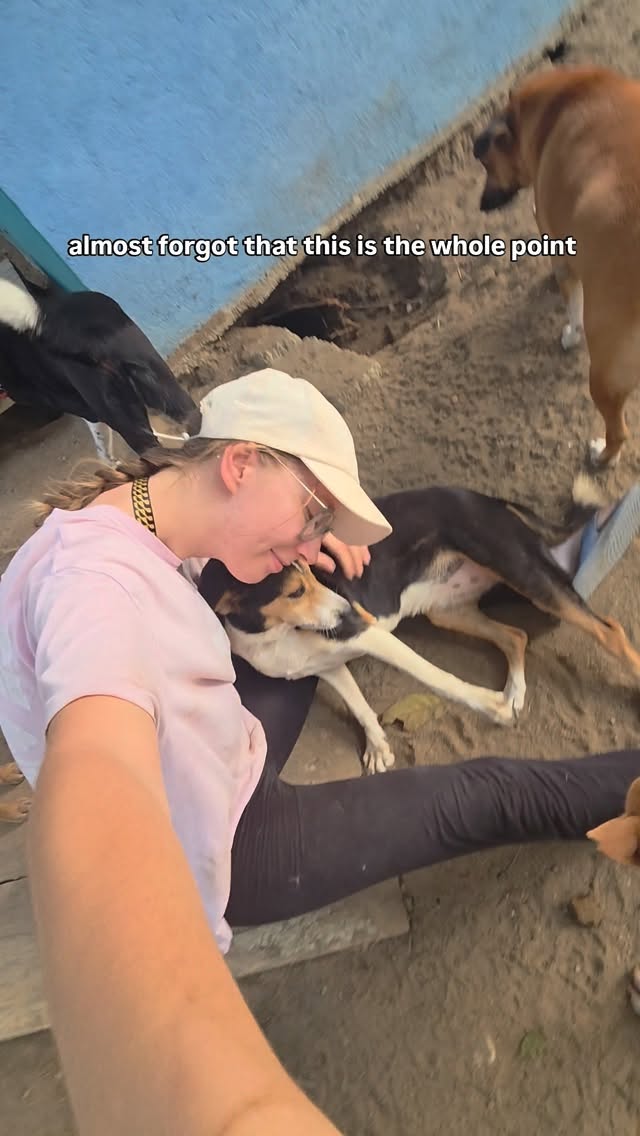 so many animalsâŚ
sometimes you almost forget the most important part.
The love, the trust, the quiet moments like this. đž
Every dog here is waiting for someone to call their own.
Which one is yours? â¤ď¸
#rescueanimals #shelterlife #adoptdontshop #dogsoftheworld