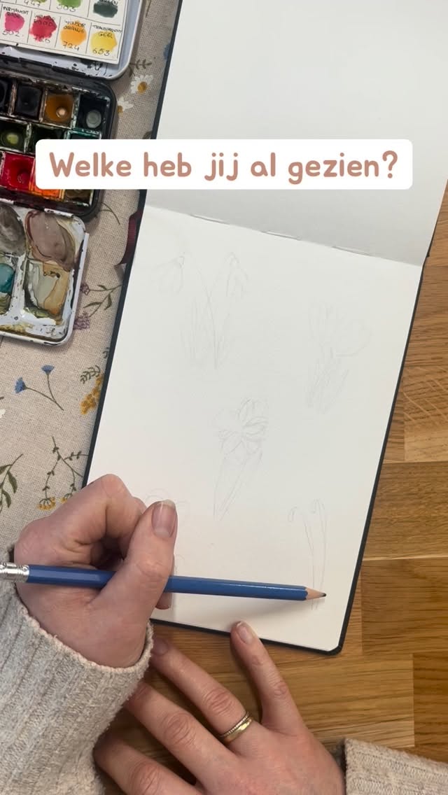 Welke heb jij al gespot?
Zo heerlijk die natuur die weer tot leven komt! En natuurlijk hele fijne inspiratie voor jouw sketch journal al die bloemen.
#tekenen #sketchjournaling #aquarel #sketchbook #creatief