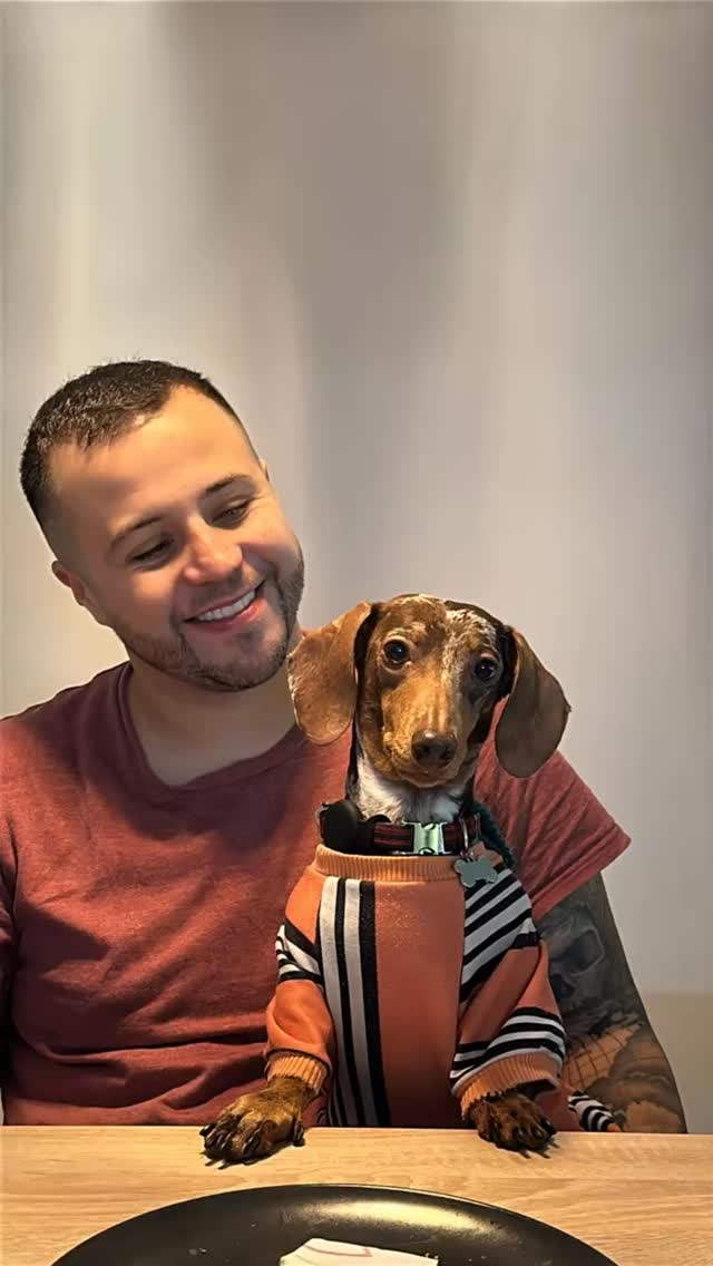 ¿Hasta cuándo uno se cansa de ver tantos perritos tan lindos? ¡Jamás! 😍
Cada uno con su propia personalidad, tamaño y color… todos son únicos. 🥹
Y nosotros, felices de darles un segundo hogar mientras sus humanos no están…
y ellos encantados de estar de vacaciones. ☀️🐾
#dogcarebarcelona #barcelona #cuidadoresdeperros #dogsitting #dogsitter