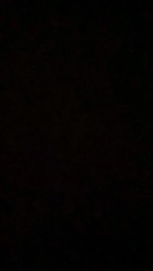 *Late Post*
Had an amazing time training with Jordan & Roxy at Lone Mountain Park. đž
#abetterpetdogtraining #lasvegasdogtrainer #vegasdogs #explore #atraineddogisahappydog