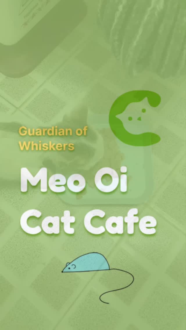 more about @meooi.catcafe in this reel 🙏
.
.
.
#catreel #rescuecats #catcafe #catsofvietnam