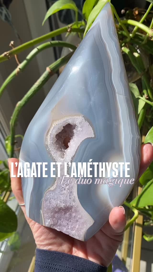 Good morning jolies âmes ☀️💐
Perdons nous ce matin dans les détails de cette agate cristallisée par l’améthyste 💜
🧘♀️Sa vibration est là pour nous rappeler de ralentir, de respirer et de calmer nos corps pour bien commencer la journée.
😌Un duo parfait pour rester stable face aux défis tout en gardant l’esprit clair.
☮️ Laissons la sérénité et la générosité nous guider aujourd’hui jolies âmes.
Quelle sera ton intention pour aujourd’hui ?