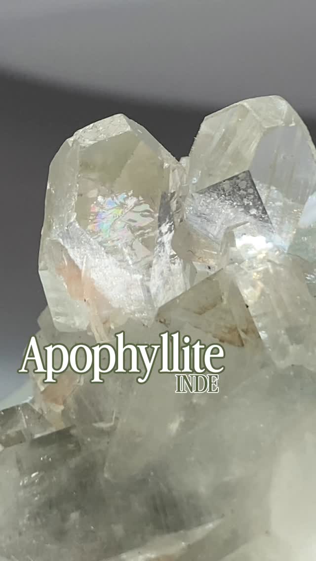 Il y a 65 millions d’années, au cœur des terres sacrées de l’Inde, le feu des volcans rencontra la mémoire de l’eau. De cette union brutale est née une géométrie sacrée : l’Apophyllite. ✨🌋
Bien plus qu’une simple pierre, chaque amas est une fenêtre ouverte sur le passé. Ces pyramides naturelles se sont formées au sein des trapps 🪜du Deccan, cristallisant goutte après goutte dans des bulles de lave refroidie.
Observez ces reflets nacrés et ces pointes translucides : elles portent en elles des traces de Stilbite orangée, une compagne de croissance qui danse au milieu des cristaux de silicate. Sa structure cristalline unique lui confère cet éclat vitreux, presque céleste, qui semble capturer la lumière pour mieux la rediffuser.
En lithothérapie, l’Apophyllite est la gardienne de votre esprit. Elle agit comme un phare dans la brume mentale, dissipant les blocages pour laisser place à une intuition pure. Posée dans une pièce, elle en purifie l’atmosphère, transformant les énergies stagnantes en un flux de sérénité.
Laquelle de ces beautés vibratoires vous appelle jolies âmes ? 💎
✨ Découvrez la collection sur le shop (Lien en bio).
#Apophyllite #GeometrieSacree #Lithotherapie #pierresnaturelles