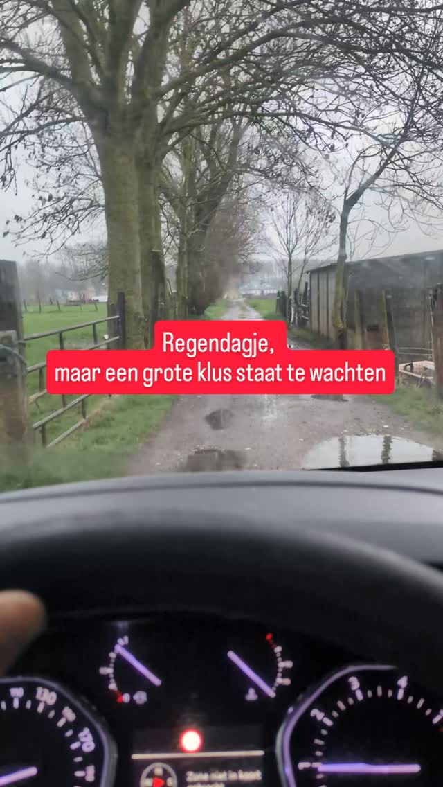 #rasberrys #smallfarm #robinia