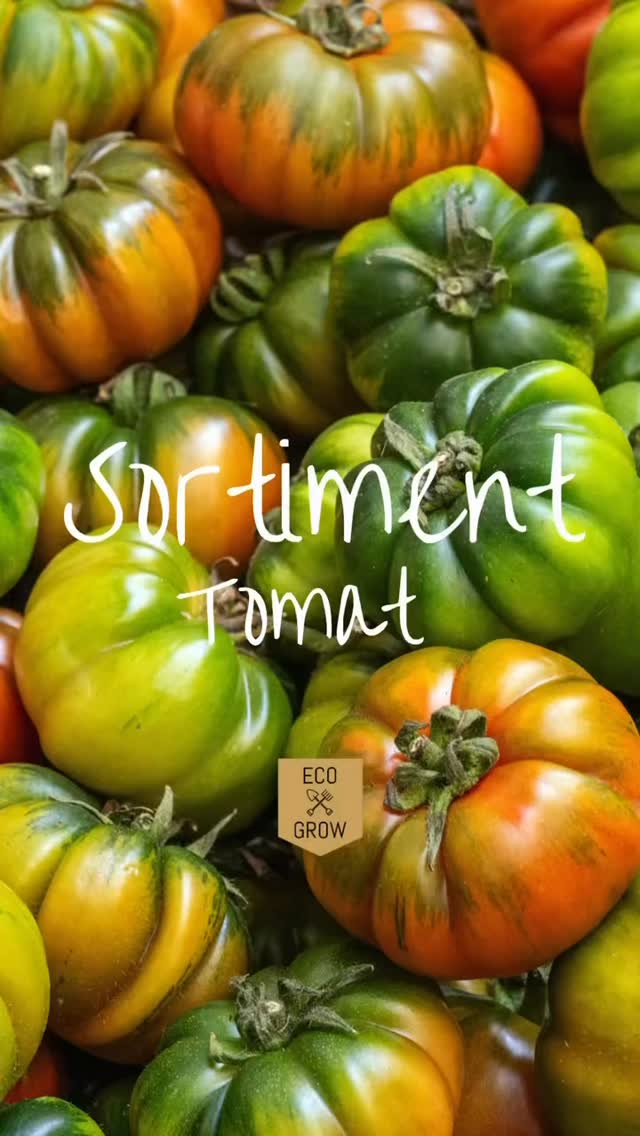 I vårt sortiment hittar du KRAV-märkta tomatsorter i olika storlekar & färger! 🍅
Vilken är din favorit? 🍅