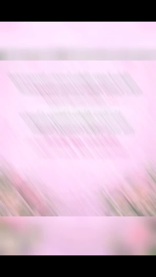 Wishing a very Happy Birthday and Happy Akaversary to our beloved Iota Alpha Omega sisters. May your special days be filled with love, joy, and continued blessings. 💕💚✨
#alphakappaalphasororityinc
#iotaalphaomega
#happybirthday
#happyakaversary