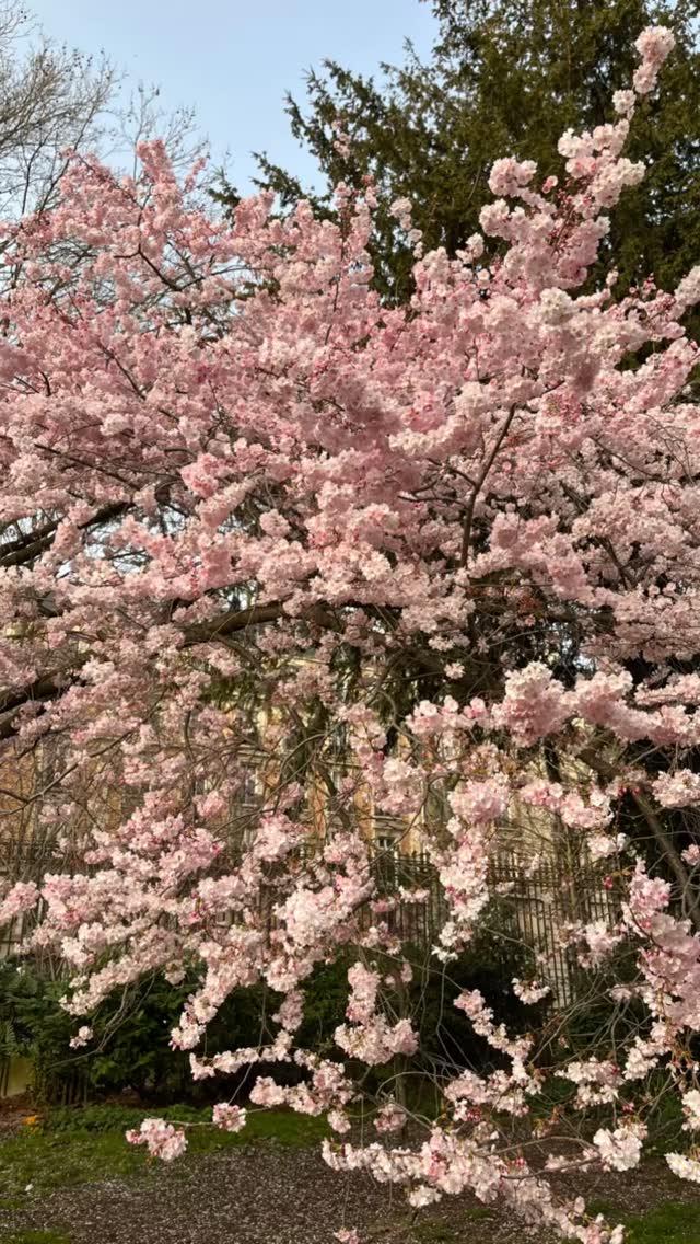 la nature, nous inspire, nous renvoie ce que nous sommes dans notre plus belle essence.!
Car nous sommes passé séparés de la nature, nous en faisons totalement partie, nous sommes constitué des mêmes éléments…
La nature nous invite à l'émerveillement, à la beauté, à la joie et nous rappelle chaque jour que nous sommes des êtres d'abondance, d'amour… Prendre soin de la nature et de tout ce qui est vivant, c'est prendre soin de vous-même… Nous sommes intrinsèquement liés avec tous les êtres vivants que quelque soient leurs formes… Nous sommes un.