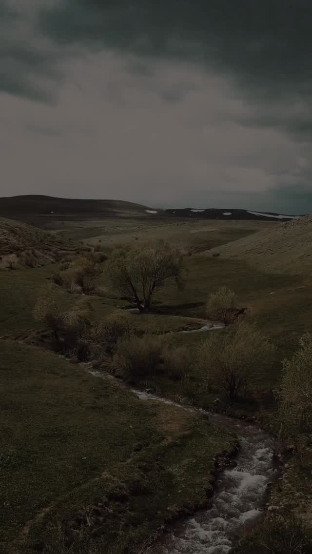 This wasn’t the plan for this weeks YouTube video but we made it work 🐄
Three calves in one day, a broken car and zero sleep! We worked as a team, we made it through it and nothing like a bit of problem solving!
I WILL do my best to catch up with you all in stories tomorrow (it’s even on my to do list!!)
🖤
#countrysideliving #homesteading #wholesome