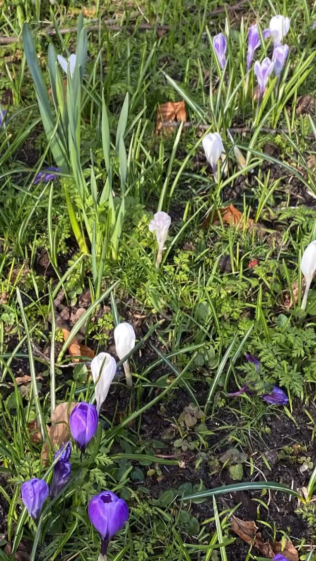 #BezuidenhoutSocialClub #CommunityCircle #InterLocals #Bezuidenhout #TheHague #internationalcommunity