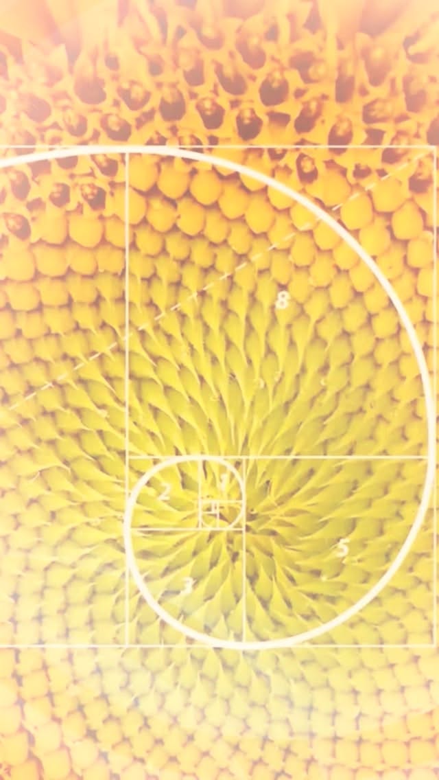 🌸 Spring Equinox: Time for a Vibrational Reset
Realign your energy.
Recharge your system.
Start spring clear and balanced.
With Mercury moving direct, this is a powerful weekend to reset.
🗓 March 22 | 7PM
📍 Light On Lotus
👆link in bio ✨
#soundbath #soundhealing #springequinox #soundmedicine #soundmeditation