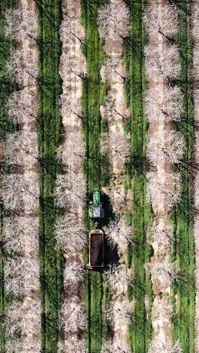 A lot goes into keeping orchards in shape. 🌳
Our crews are out across the valley helping growers stay on top of it.
📞 North Valley: (209) 564-8207
📞 Central Valley: (559) 363-3315
📞 South Valley: (559) 201-3189
#treebarber #orchardmanagement #orchardcare #agservices #treecare
