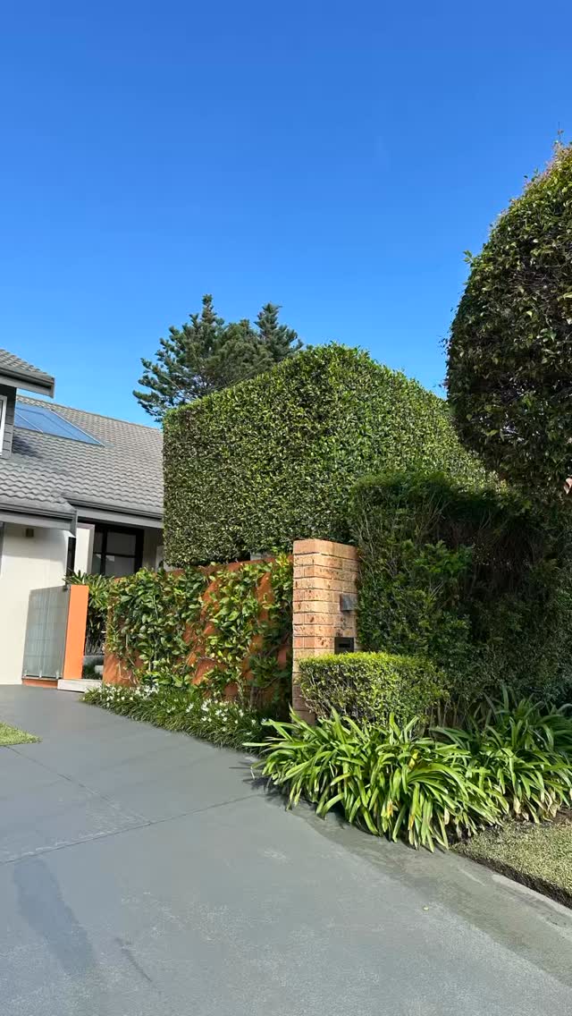 What an absolute pleasure it was cooking for Steve, Deborah Killelea and guests.
We walked through a culinary journey with dishes that means so much to me. My highlight was firstly the amazing company, but so happy the guests liked my Miang Kham (Shitak), my personal favourite. Betel leaf wrap with a kingfish ceviche with flavours of Otak. The menu also consisted of Chicken dumplings with coral tuile, My Toothtisse dish of Toothfish in tomato dashi and herb oil. Honey Soy ginger Angus eye fillet +mb4, seared wombok and seasonal veg in a miso butter. We finished it with a Leche flan, coconut ice and pandan tuile dessert. Thanks for being such gracious hosts and allowing me to drive your gorgeous home kitchen!
#cookathome #foodie #nothernbeachesvibe #cook #dinnerparty