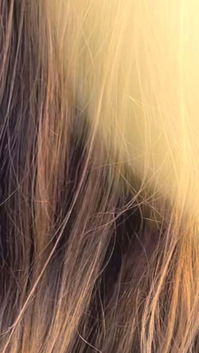 Deep, rich chocolate dimension 🤎
This gorgeous transformation took @rileighjelen hair from flat to full of life with a custom haircut and a deep, chocolate balayage layered with lowlights and soft root dimension. The result is a rich, glossy brunette that feels luxurious, dimensional, and effortlessly blended.
Sometimes the most beautiful transformations are all about depth, shine, and perfectly placed dimension.
Ready for your dream hair? Call 215-321-6186 during business hours or visit the link in our bio to schedule anytime. 📱
Hair- #jessblushyardley
#BrunetteBalayage #ChocolateHair #DimensionalBrunette #LuxuryHair