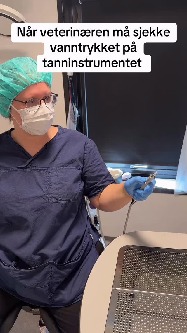 Arbeidsoppgaver i dag:
✔️ hjelpe veterinæren
✔️ bli dusjet 💦😂