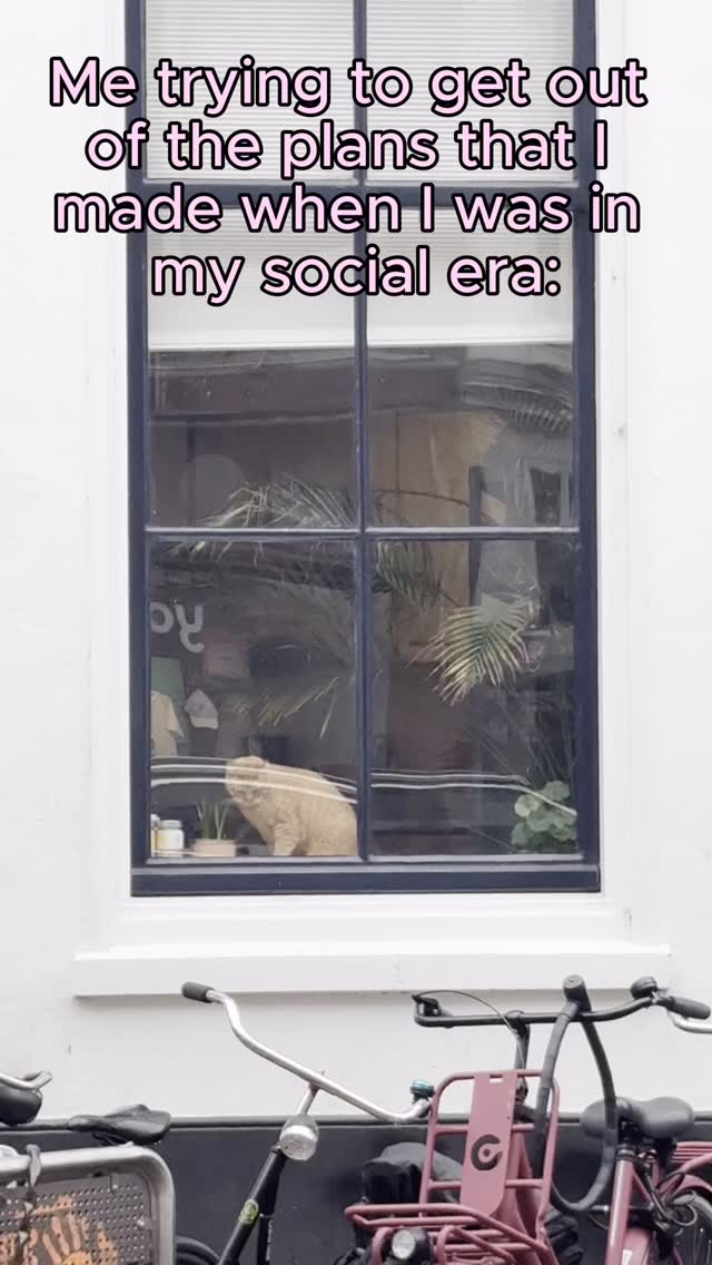 Sometimes I have socialisation skills of a ginger cat 🐈….
Take that as you will!!
#catmeme #cats_of_instagram #catlovers #cat