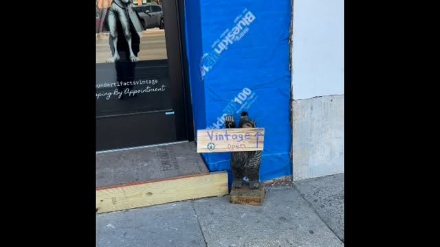 come find us and visit 🐇open saturday and sunday 11-4