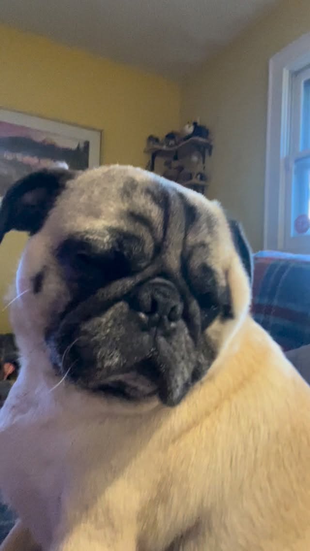 Mojo is all played out.