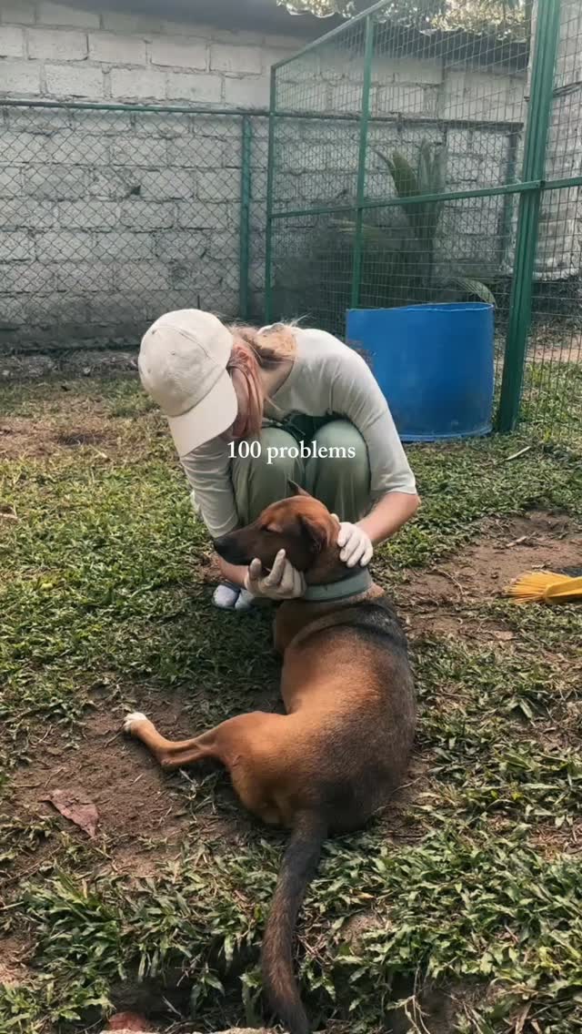 Sometimes all it takes is one quiet moment with a dog. 🐾
Suddenly the world feels a little lighter.
Check out the link in our bio to learn more about the animal shelter!
#doglove #rescuedogs #animalshelter
#dogtherapy #rescuedogs shelterdogs animalshelter dogsoftheworld