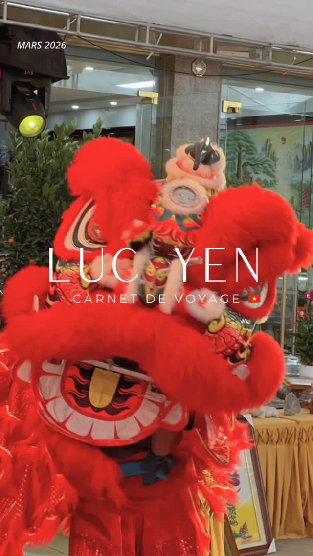 ✨C’est la fête du printemps ce matin, le marché aux pierres de Luc Yen est en effervescence. ✨
Les femmes ont sorti leurs plus belles tenues.
Un grand dragon rouge serpente dans les allées étroites, vibrant au rythme lourd et joyeux des tambours. L’ambiance est légère, festive.
Entre deux achats, nous posons nos loupes pour prendre quelques photos.
Nous nous sentons exactement là où nous devons être.
Dans le chaos du monde actuel, le marché nous offre une parenthèse joyeuse et inattendue . 🐉
.
#LucYen #Vietnam #GemHunt #SerengetiGems #carnetdevoyage