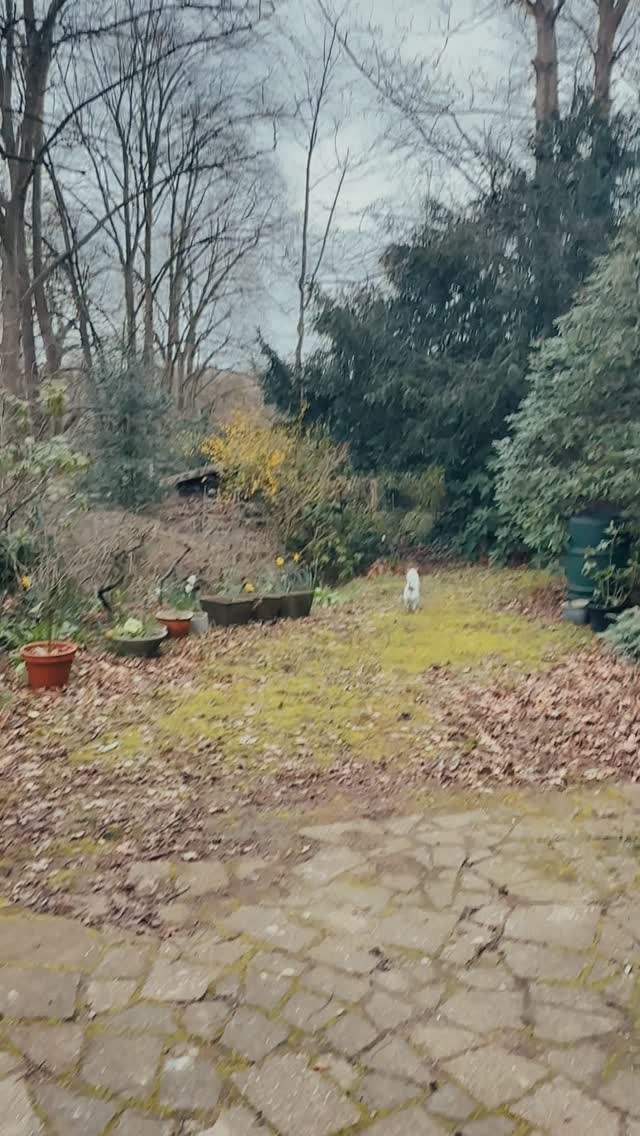 I’m most productive just after drop off by 9am so I try to get a good head start by finishing the jobs that require a bit of focus- artworking, alignment, sizing, cropping. The mundane but need to be done ✔️
Today I’m designing the belly bands for 3 new tea towels for Alexandra Palace. The last batch did incredibly well so this time we are printing a larger batch with more designs. I’m so excited to see the range come together it’s all its bold and beautiful glory!