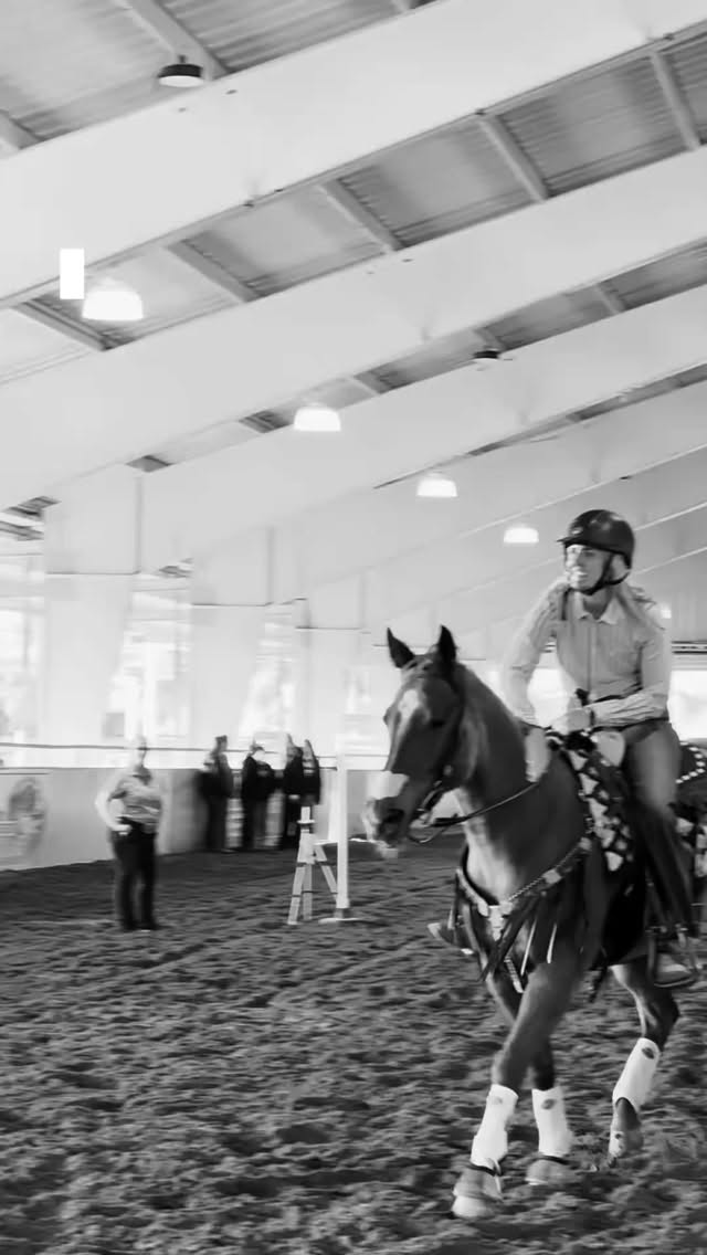 Luck is finding a shamrock. Real luck is finding your horse. 🍀
#stpatricksday☘️