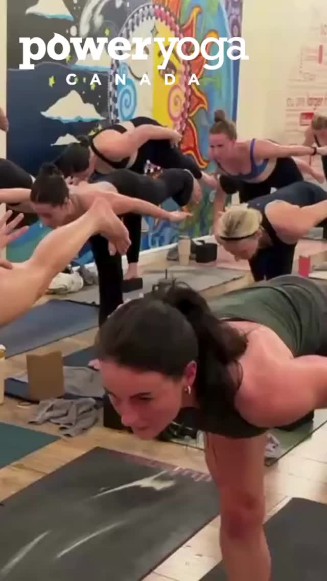 This is the energy you didn’t know you needed on a Thursday. 🔥
At Power Yoga Canada Sudbury, we don't just stretch—we sweat, we connect, and we leave the week's stress on the mat. If your week has been heavy, this room is where you lighten the load.
Don't just watch the vibe from your phone. Come feel it.
👇 Grab your spot for a weekend class before they fill up!
#SudburyLife #StressRelief #HotYoga #PYCCommunity #SelfCareSudbury #FindYourPower