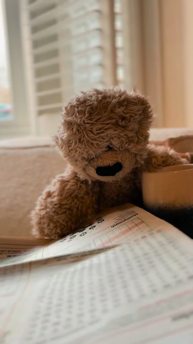 When the emergency biscotti stash went missing…there was only ever one bear for the case!
Paw prints, crumb trails and suspicious clues. Can you help Oatie and the gang hunt down the ‘crumbinal’ in our special edition mystery classic:
Sherlock Heinz and The Case of The Missing Biscotti 🐻