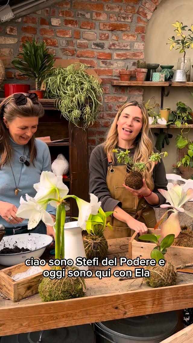 Conoscevate già il Kokedama?
Sabato 28 marzo dalle 10 fino alle 12 potrete partecipare al nostro corso in cui ognuno realizzerà il proprio “vaso di muschio” ✨🍀🪴