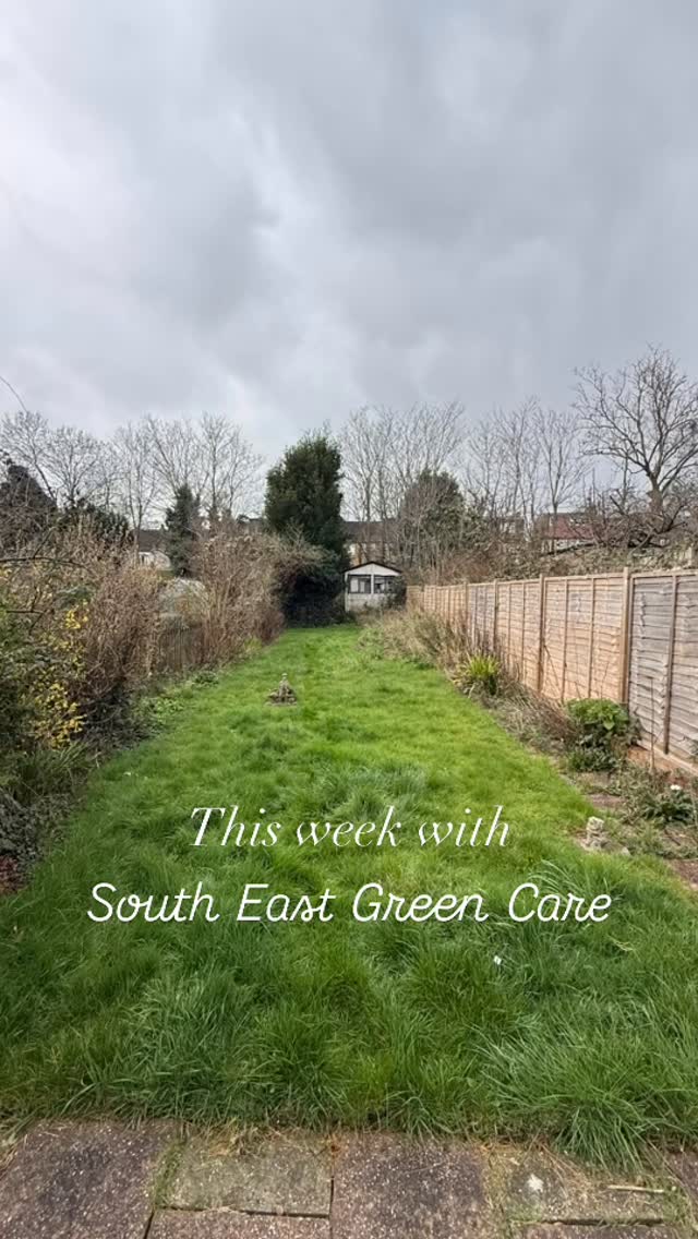 Back #garden #overhaul just in time for spring! Huge transformation and one happy client! #gardening #nature #maintenance
