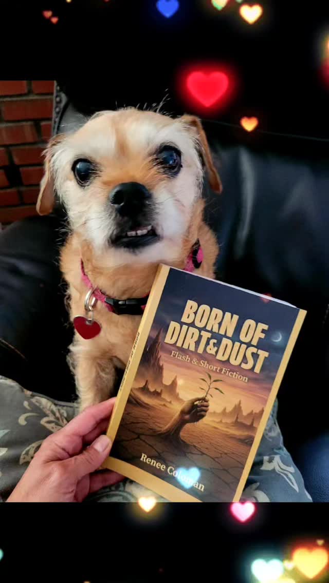 Born of Dirt & Dust📚🌟📚🌟
#awardwinner
#indiebook
#creativewriting
#fiction
#readers
Huge thanks to booklovers addicted to reading & to Literary Titan 😊