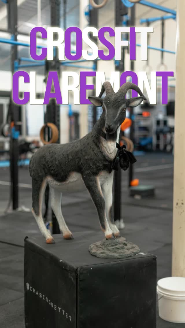 26.3 eve. One workout left!
With the faction race wide open could this be the first year we see Green toppled?