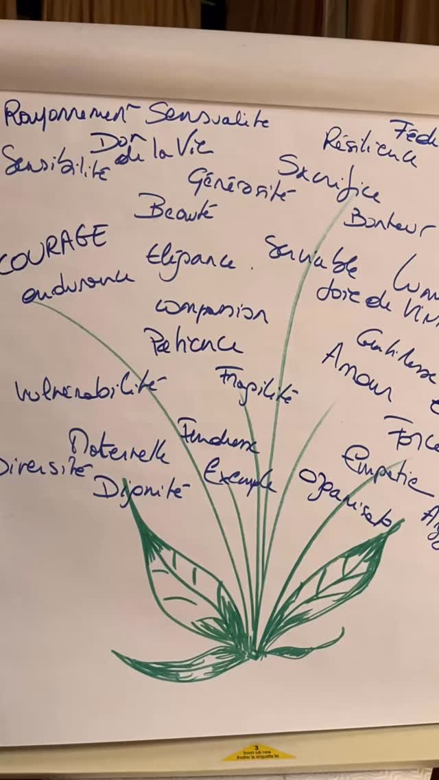 Un bel Iftar entre femmes🌙✨
Une soirée placée sous le signe de la diversité, du dialogue et de la tolérance💛
À beautiful women’s Iftar 🌙✨
An evening of diversity, dialogue and tolerance 💛
@ejcc.eu @nehamaavitawil