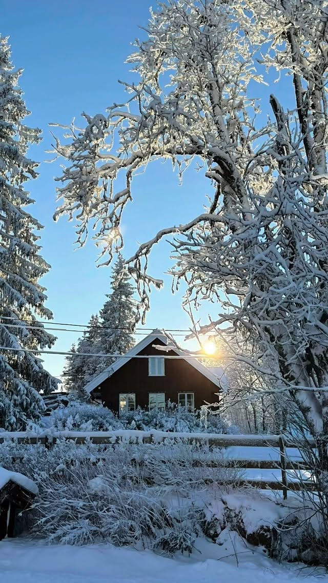 Sommerfest på Kleivstua!