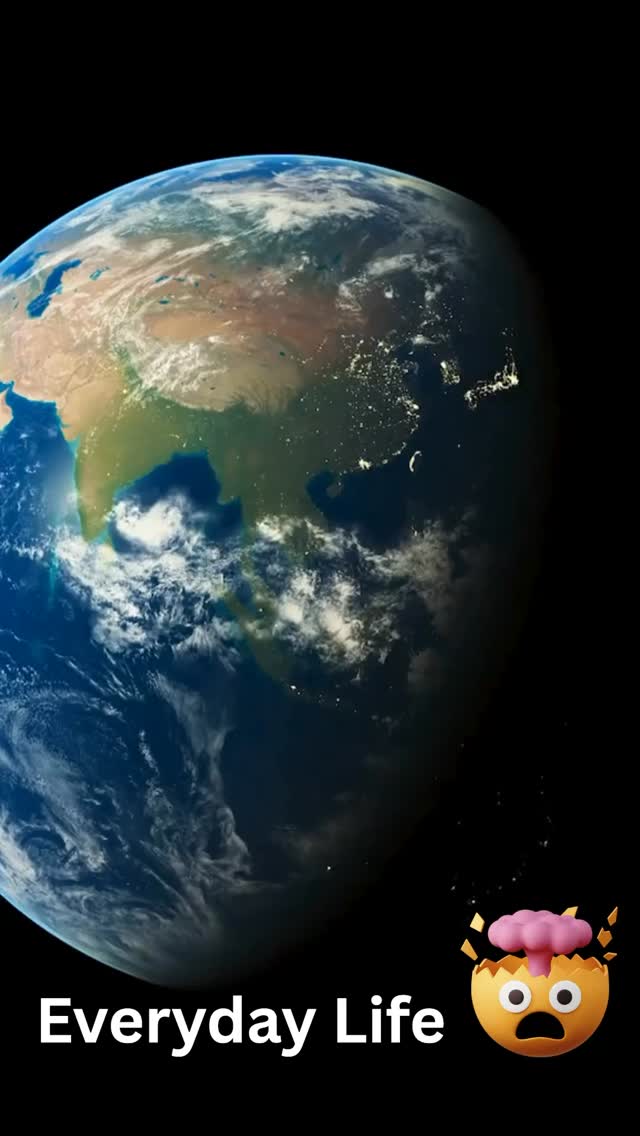 #greatbarrierreef #halfdaytour #snorkeling #diving #reefinfocairns