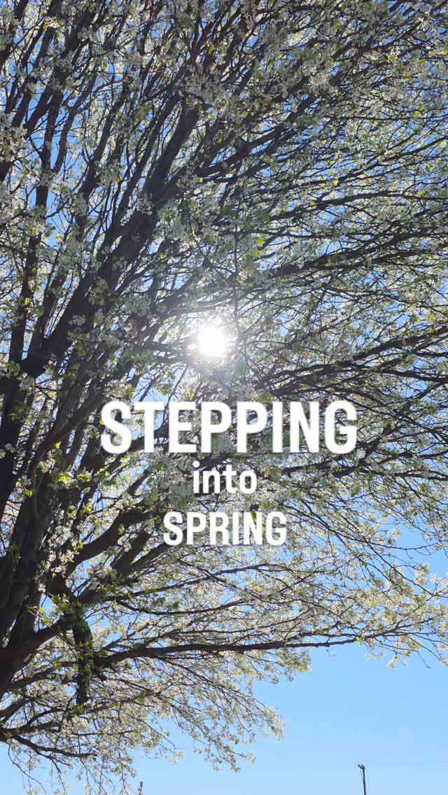 That sun feels good. ๐ Only a few weeks left before our family reunion! Checking in with the KY Team.