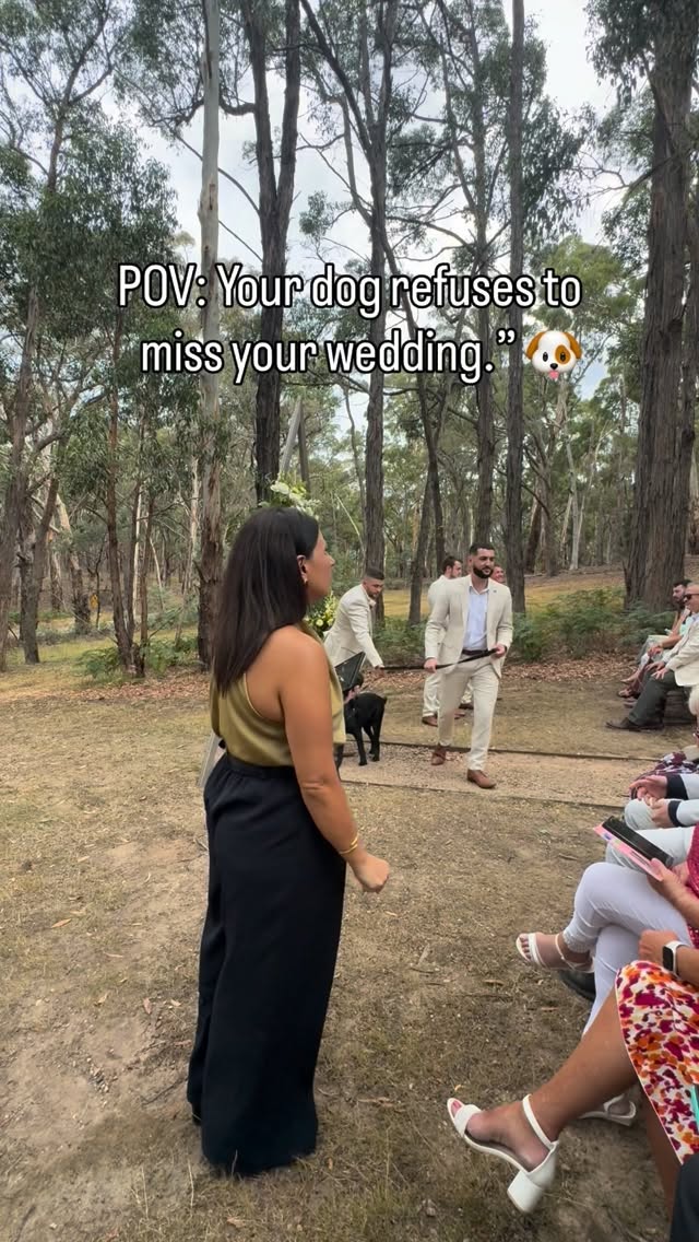 Dogs at weddings: slightly unpredictable, completely adorable 💙, and always worth it. 🐾🦴
#dogs #dogsofinstagram #weddingday #wedding