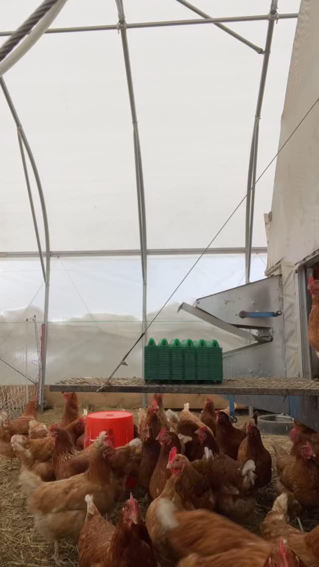 Have you heard?!?
There are only three more @brattwintermarket dates until we all take a much needed, and well deserved, break in April. Come on out and stock up while you can! Saturdays, 10-2 @winston.prouty.center. We’ll see you there 👋