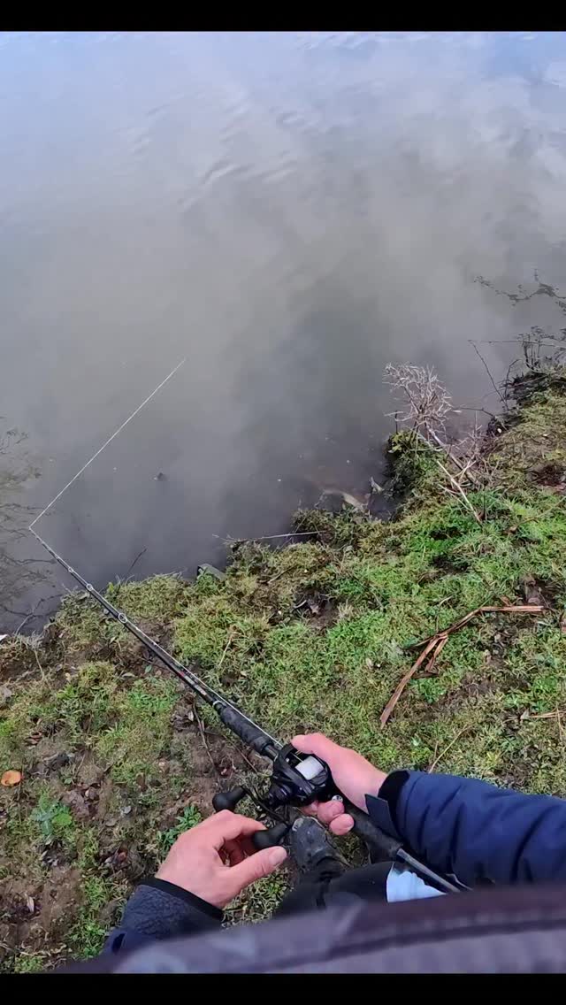 Unexpected pike attack!!! #fishing #fish #pike