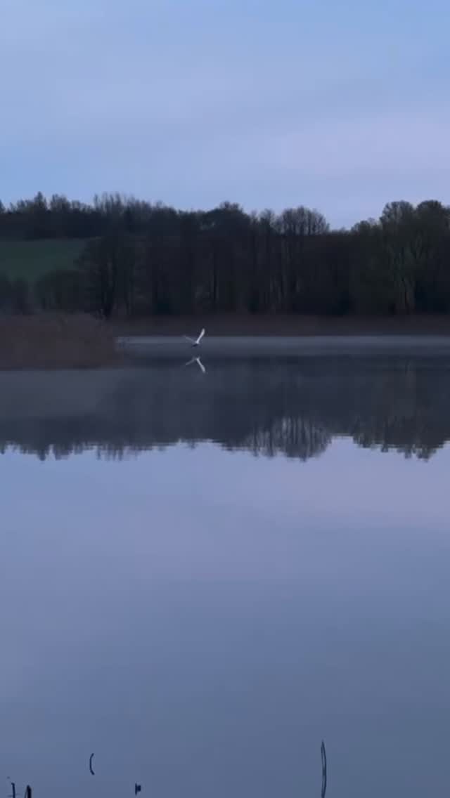 Tune-in Tuesday. This is your ‘moment to pause’, take a deep breath and come back to the present moment. Remember you have everything within you to handle whatever comes your way.
Video thanks to @aaaminsk
#momenttopause #mindfulness #meditation #breathe #inspiration