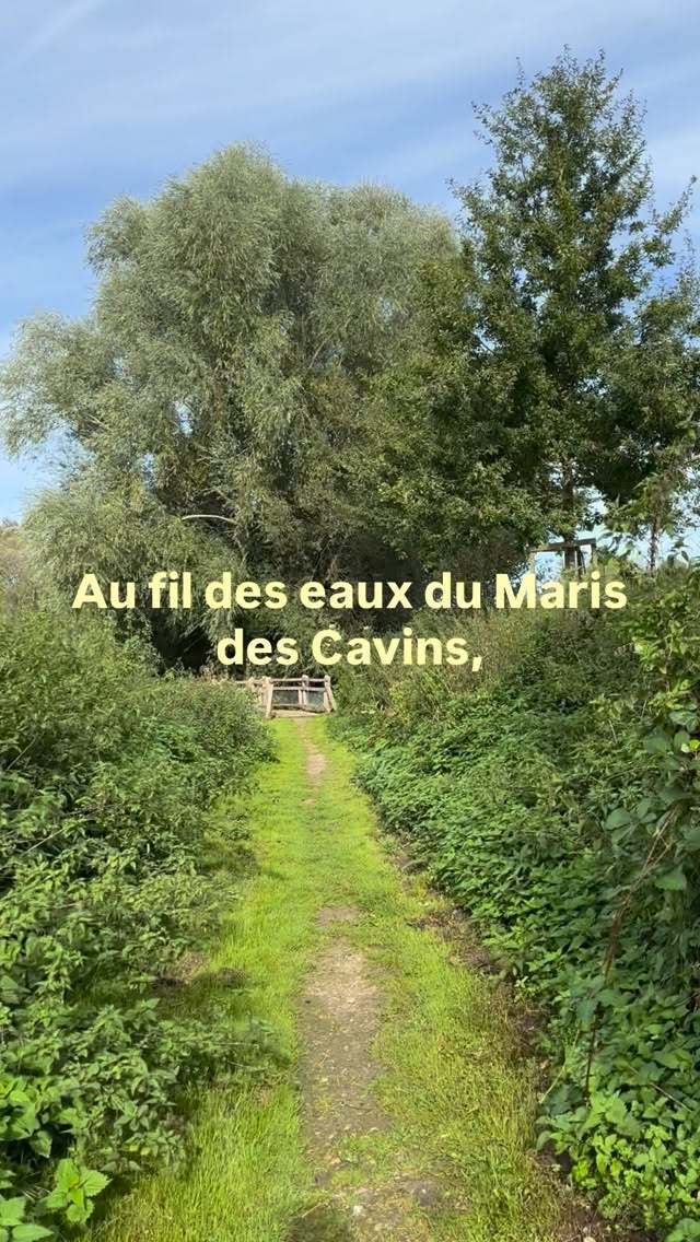 Une page de littérature et de nature, une bolée de grand air et de l’émerveillement à grandes goulées.#somme #picardie #lasommeblog #lasommemonamour #purenature