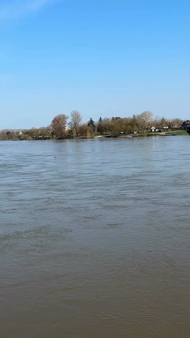 Le bruit du monde s’efface dès que tu poses les yeux sur elle.
La Loire coule, lente et vivante, et quelque chose en toi respire à nouveau.
C’est ça, Loire en Vie ; un endroit où le temps ralentit, où l’eau fait le travail.
Viens te ressourcer.
👉 loirenvie.fr