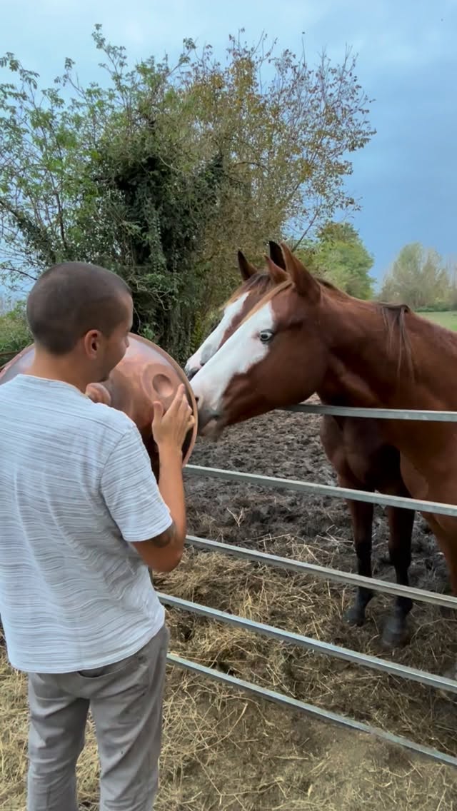 🗓️La programmazione della settimana
🟢 MERC, 18 mar alle 20:40
Piove di Sacco (PD) | Bagno di Suoni e Oli Essenziali - “assieme ad Alessia”
🔵 GIOV, 19 e VEN 20 mar alle 20:00
Vicenza | Corso Handpan Base - 1° Livello (in due serate)
🟢 SAB, 21 mar alle 20:30
Rovigo | Bagno di Suoni e Oli Essenziali
🔵 SAB, 21 mar alle 09:30
Oderzo (TV) | Corso Handpan Base - 1° Livello 👨🏻🏫 Raffa
🔵 DOM, 22 mar alle 10:00
Trento | Corso di Campane Tibetane e Suonoterapia - 1° Livello Base
🔵 DOM, 22 mar alle 10:00
Vittorio Veneto (TV) | Corso Handpan Base - 1° Livello 👨🏻🏫 Raffa
🟢 DOM, 22 mar alle 18:30
Trento | Bagno di Suoni e Oli Essenziali
Per ulteriori info link in Bio:
📱whatsapp: 347 948 0292
#filippopigaiani #bagnodisuoni #campanetibetane #suonoterapia #handpanmusic
@555_ranch_reining_horses