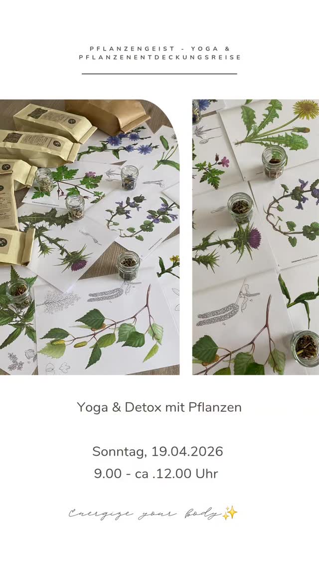 Yoga & Detox mit Pflanzen - du möchtisch dir und dim Körper öpis guets tue?✨️
Zersch bereitet di t @ste_lae mitemne Yoga Flow uf t Entgiftig vor. 🧘🏻♀️
Aschliessend zeigt dir t @s.a.r.a_v.e.r.a die ungloublechi Chraft und Fähigkeite vo Pflanze. 🌿
Du interessiersch di für t Pflanzeentdeckigsreis aber wettsch z Yoga usselah? Es isch natürlich o seperat buechbar.
#heimberg #yoga #detoxflow