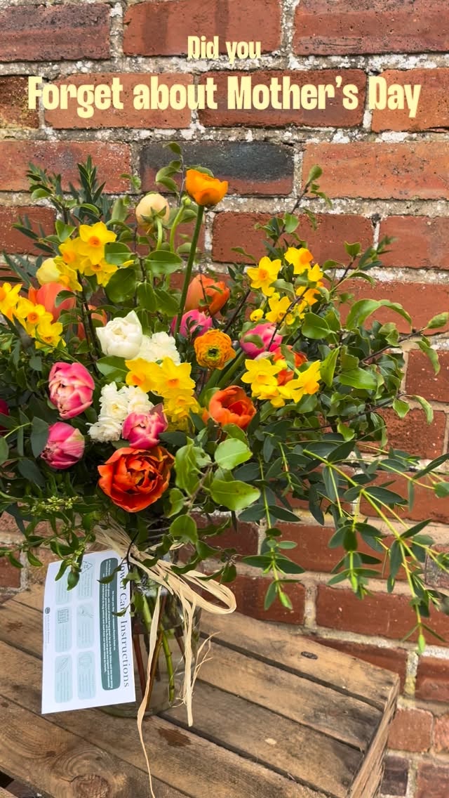 Don’t Panic…we still have flowers
Flowers for Mother’s Day! 💐
We still have plenty left for last minute orders so visit our shop (link in bio)👇or just give us a call on 07714 446091
Mother’s Day Delivery Information
Local Delivery to Ruthin
We are offering limited local deliveries on:
Sunday 15th (AM)
Farm Collection Times
Saturday 14th March — 2pm–5pm
Sunday 15th March — 8am–10am
Thank you for your support! It truly means a lot to our small farm business 🌸