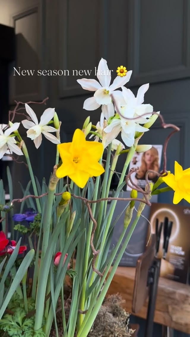 A new season is here… and with it comes new things.
New hair goals.
New colours to fall in love with.
New treatments to keep your hair and skin looking its best.
Spring is the perfect time for a refresh, and we can’t wait to share what’s coming next…..