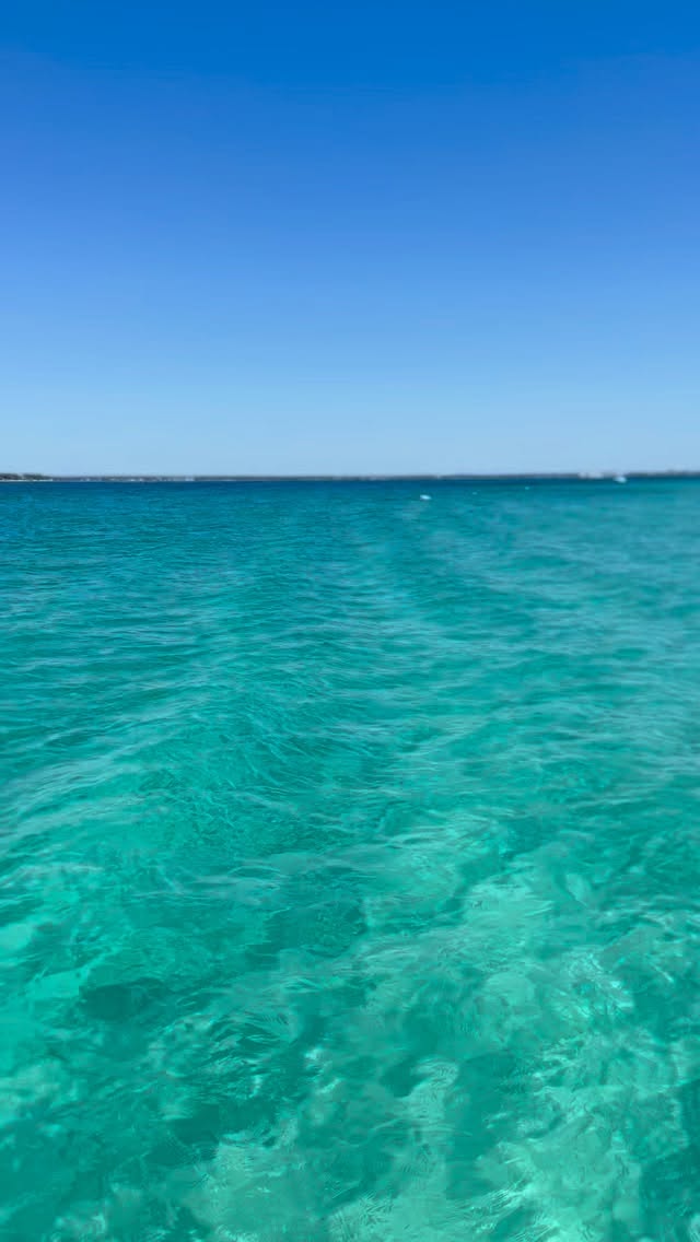 Shell Island water update: it’s clear. Very clear.