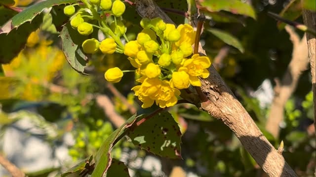 Dazu braucht es keine Worte ☀️