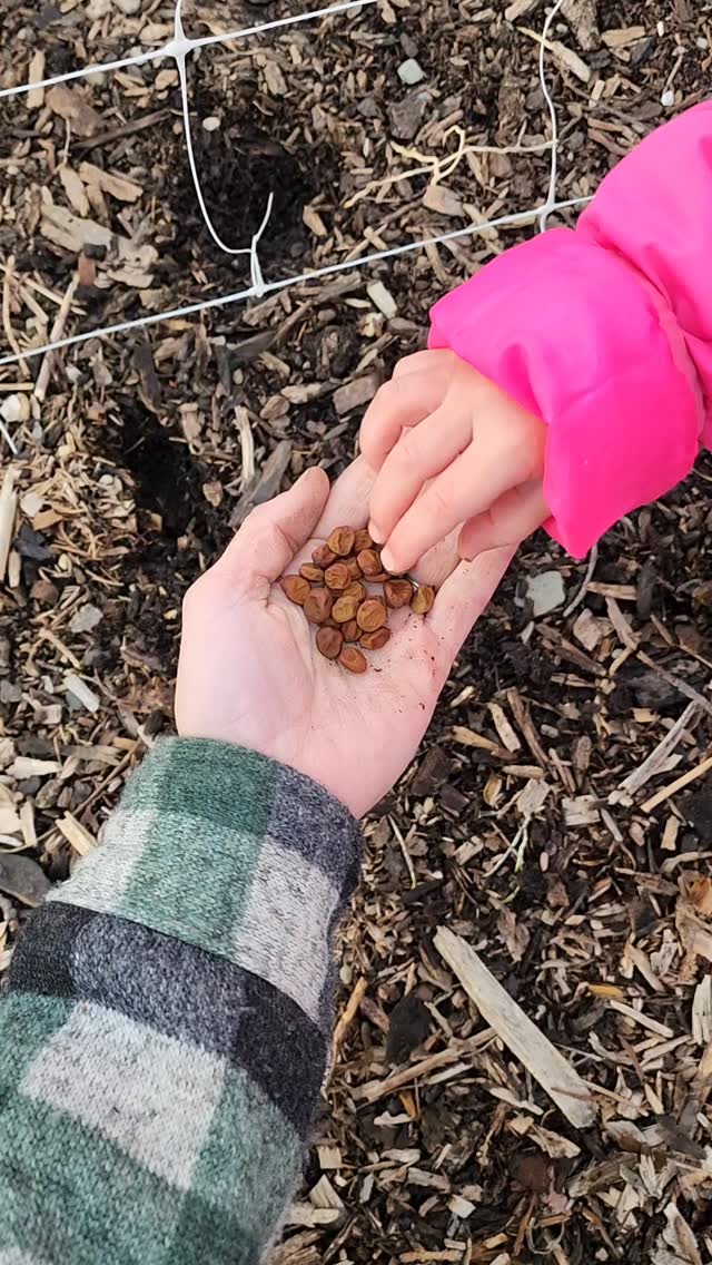 Some very important work was done today.