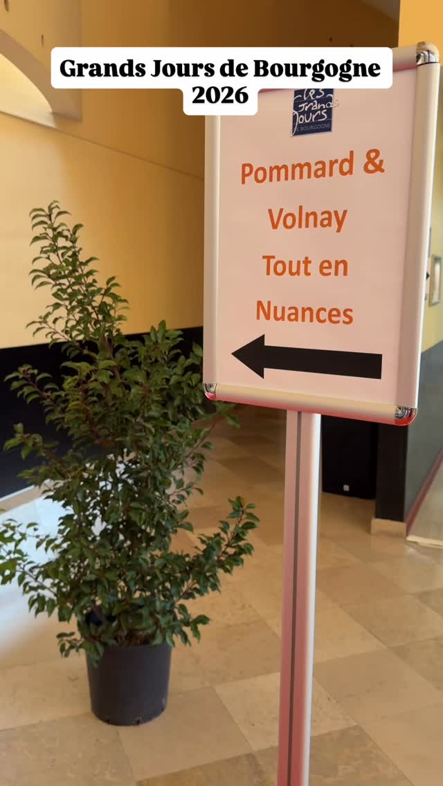 Les Grands Jours de Bourgogne au Palais des Congrès de Beaune 🍷
Tous les 2 ans, les professionnels du vin du monde entier se retrouvent en Bourgogne pour une semaine de dégustations à travers toute la région.
Aujourd’hui, on vous emmène avec nous de l’entrée du salon jusqu’à notre stand, où Charlotte fait découvrir et déguster les vins du domaine aux professionnels venus nous rencontrer 🍇
Un beau moment d’échanges et de passion autour des vins 🍷
#grandsjoursdebourgogne #bourgogne #beaune #pommard #bourgognewines